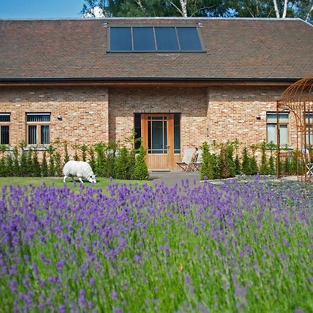 B&B Gielse Garden Gierle 외부 사진